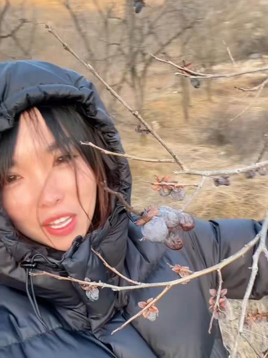 无核黑枣富含多种维生素和人体所需的微量元素每天吃一点非常好!
