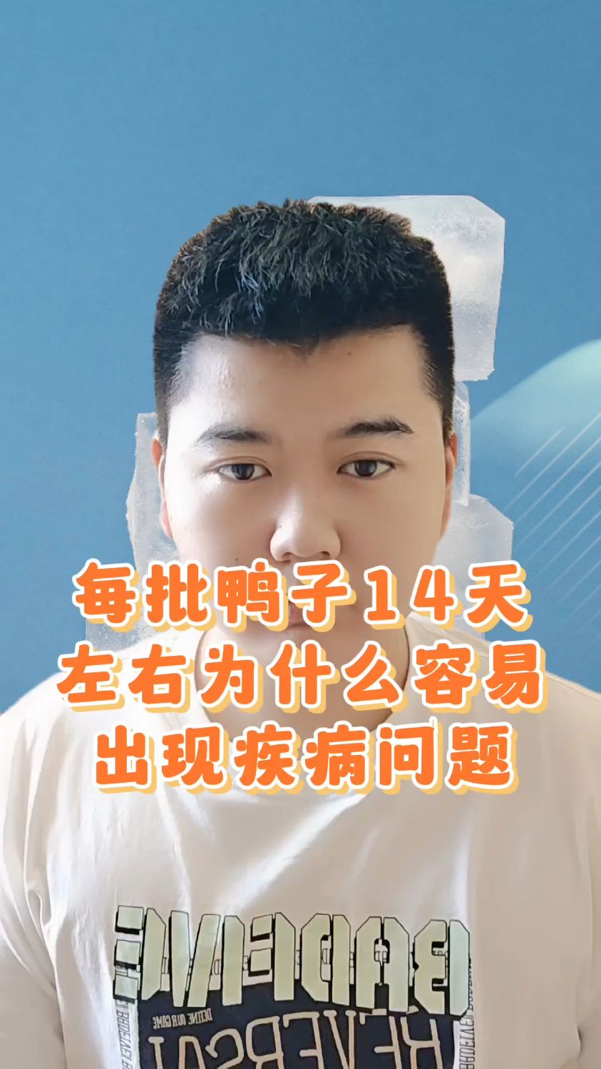 #鸭子14天为什么容易生病鸭子20天左右有什么病鸭子生病时都有什么样的症状鸭子生病了