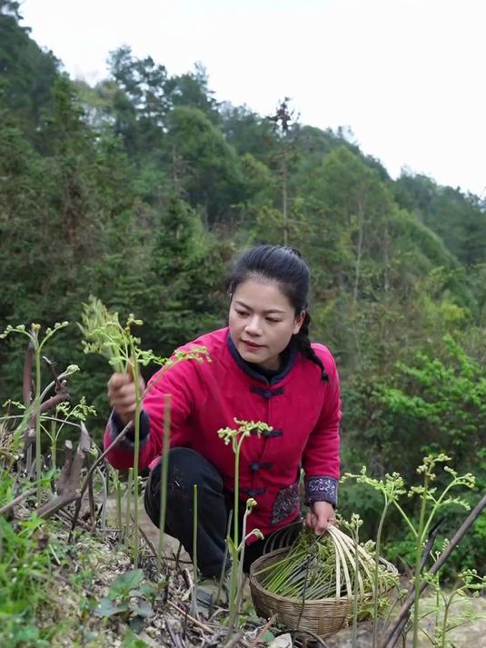 蕨菜不只是拿来炒腊肉 今天和大家分享两种神仙吃法