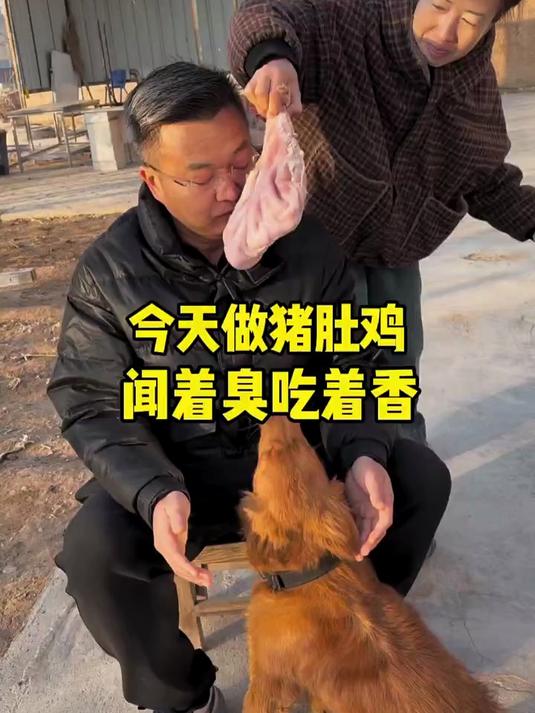 今天我做猪肚鸡,让老黄洗猪肚子老黄嫌臭,结果做好了他吃的最多