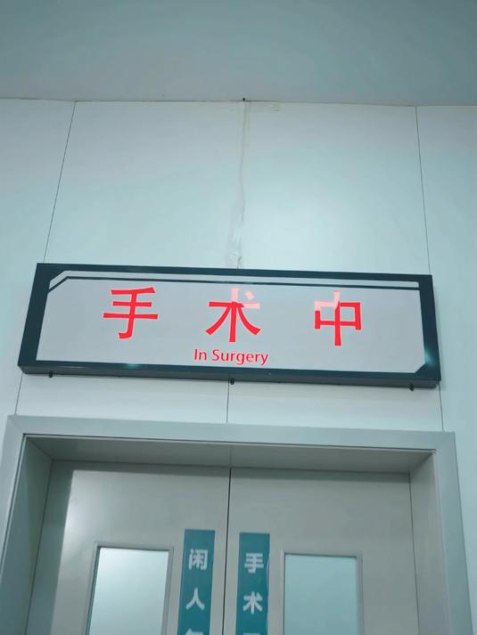 龙王庙前欺我无力，虎帅归来你拦得住吗 05