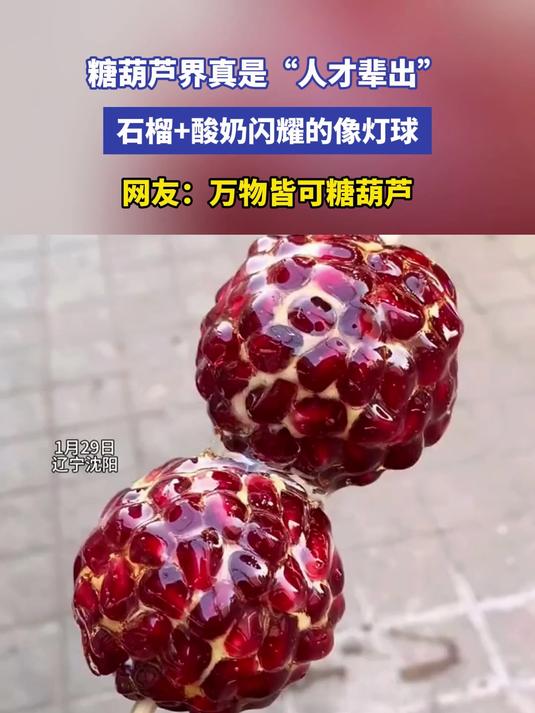 糖葫芦界真是“人才辈出”,石榴+酸奶闪耀的像灯球