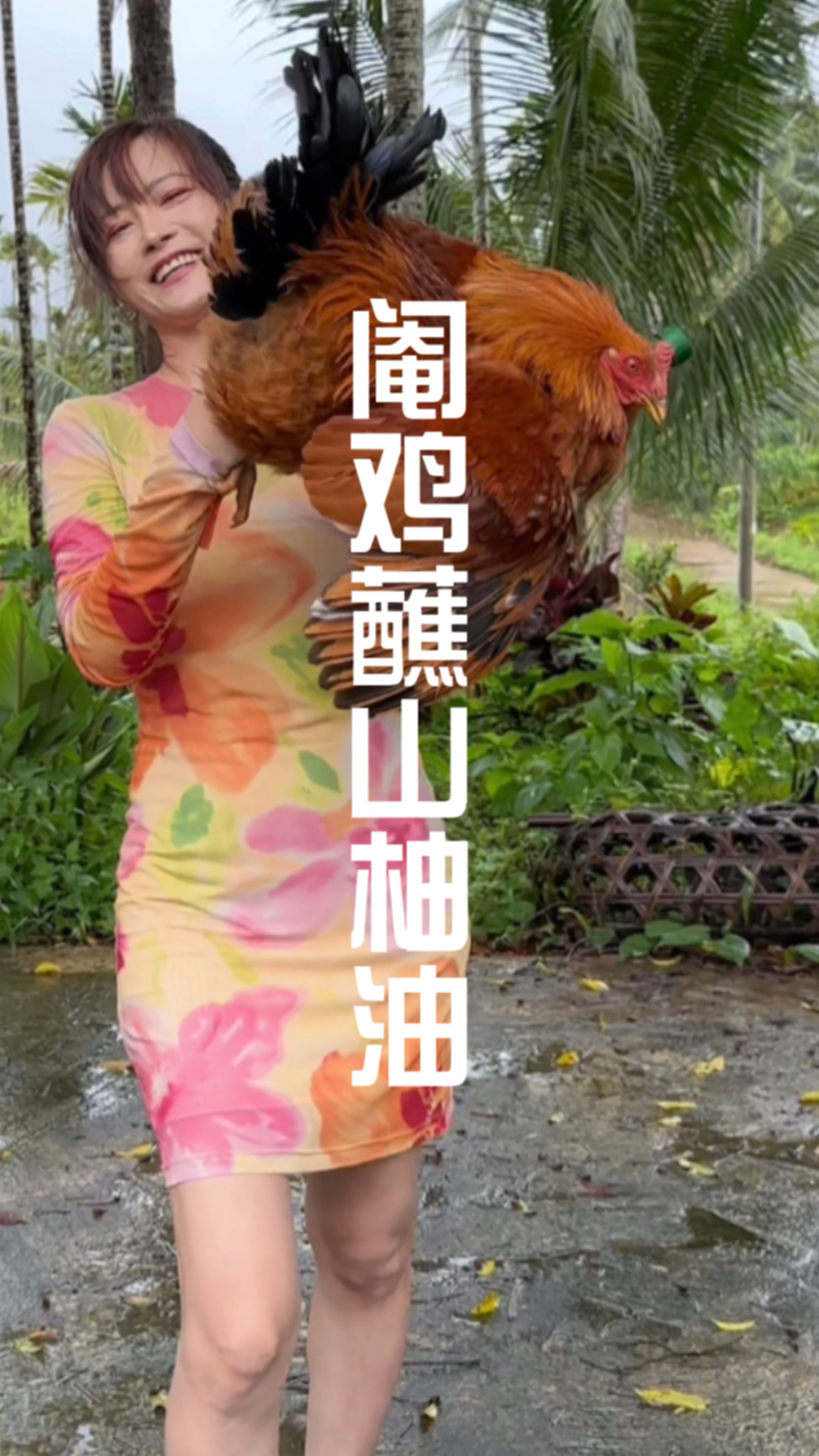 海南#山柚油#阉鸡