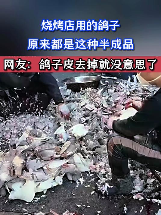 烧烤店用的鸽子,原来都是这种半成品,网友:鸽子皮去掉就没意思了