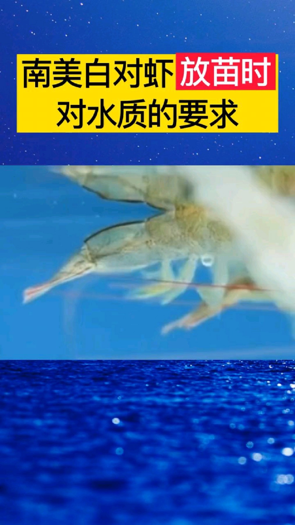 南美白对虾放苗对水质的要求