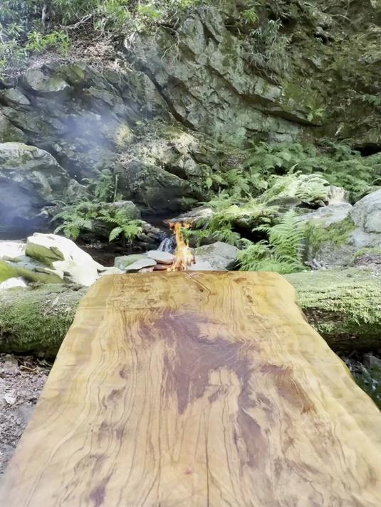 荒野美食之炭烤汉堡！