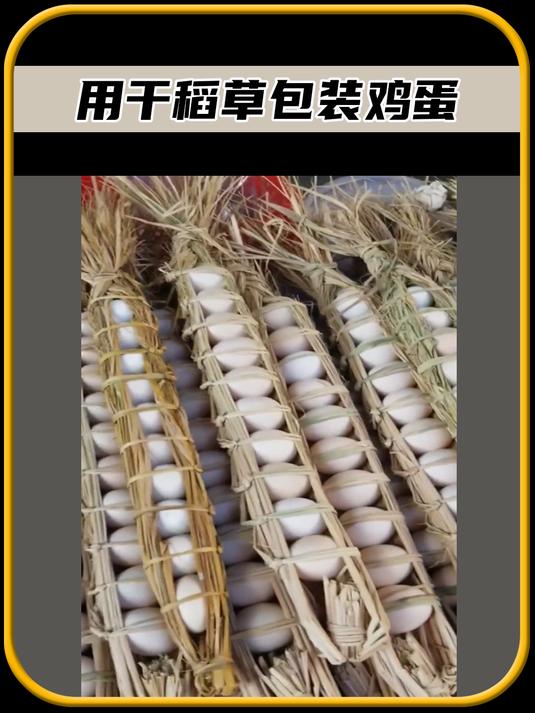 用干稻草包装鸡蛋,你有没有见过呢,太有趣了