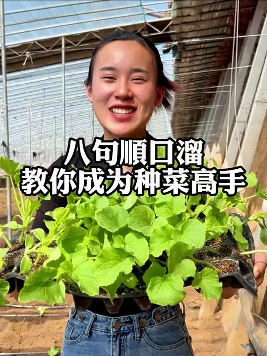 种植小技巧：八句顺口溜，教你成为种菜高手