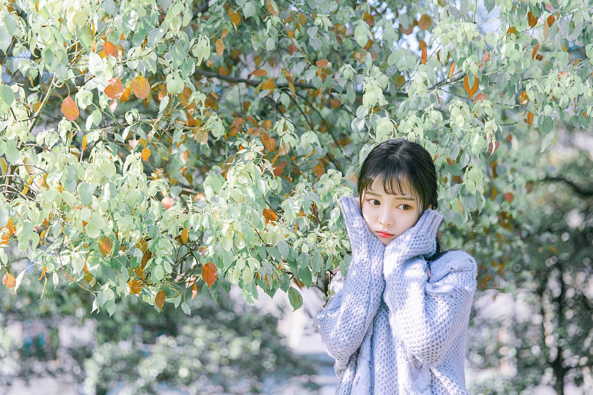图片[23]-青柠女孩-六色网