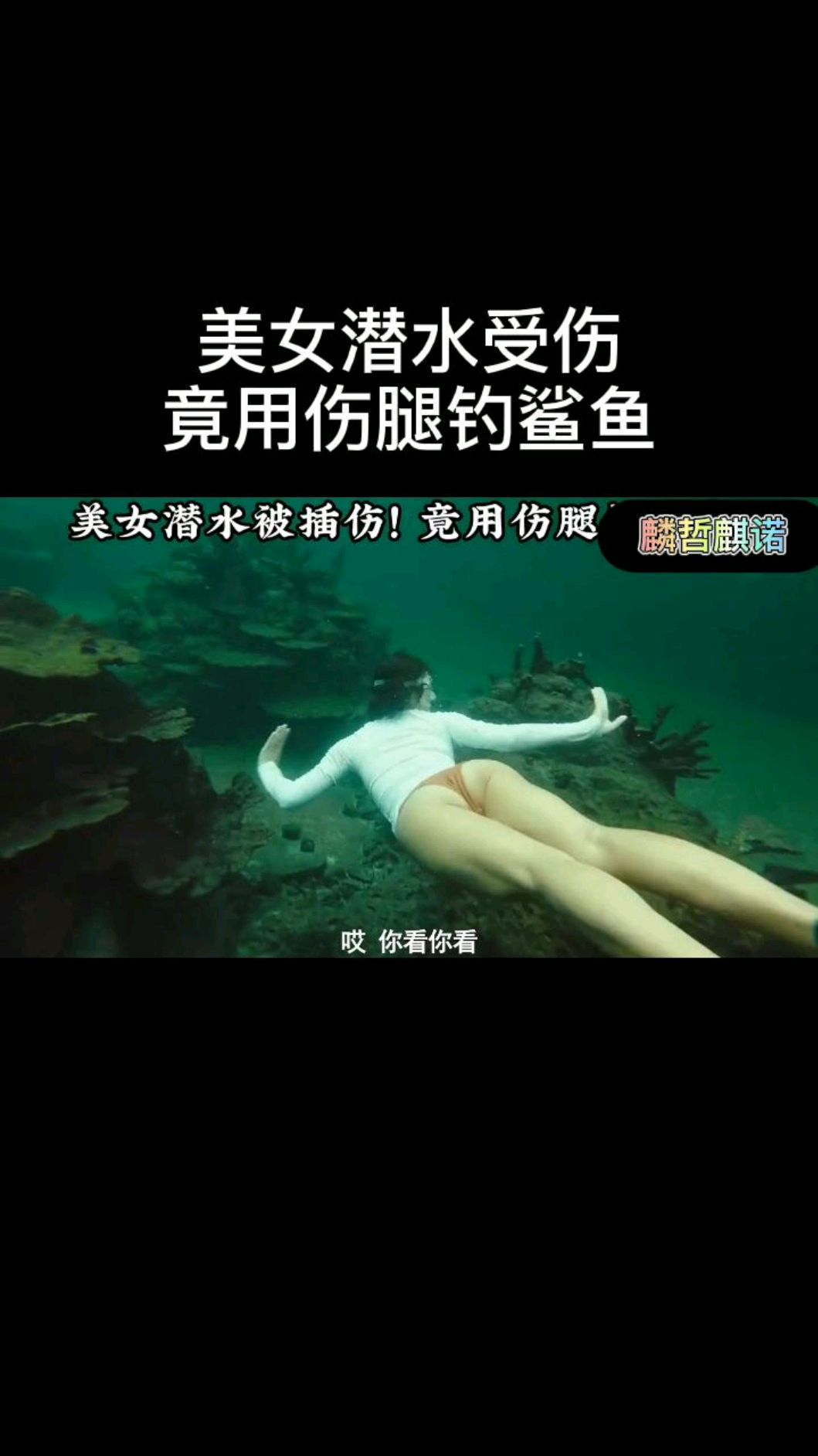 美女潜水受伤,竟用伤腿钓鲨鱼