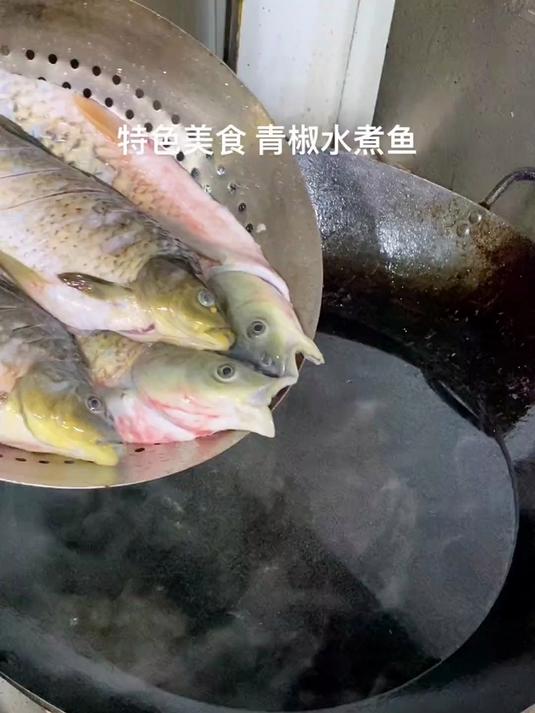 特色美食 青椒水煮鱼过程