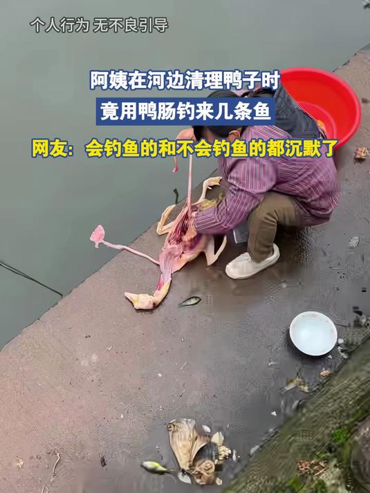 阿姨在河边清理鸭子时,竟用鸭肠钓来几条鱼