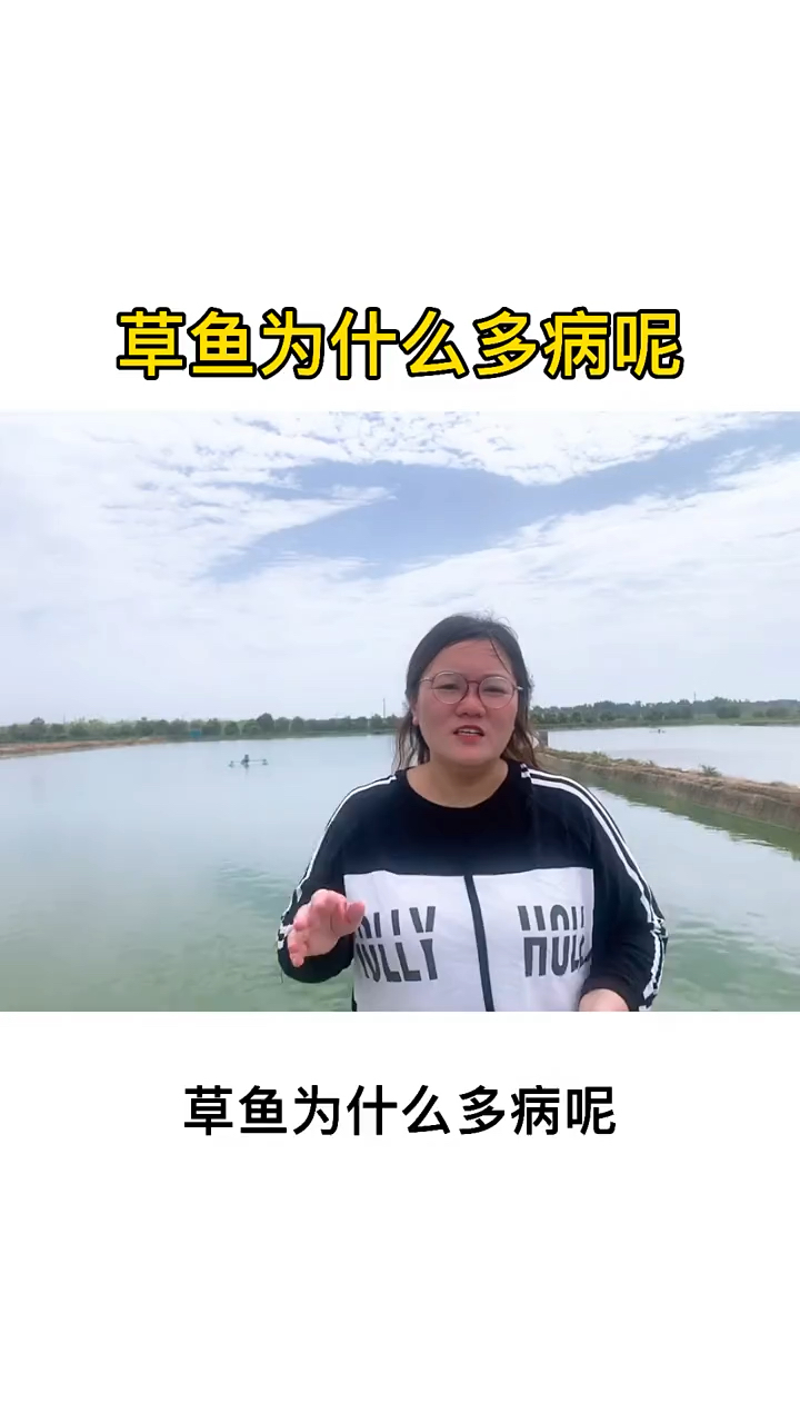草鱼为什么多病你知道吗!