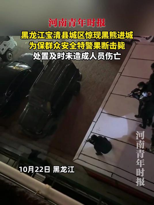 黑龙江宝清县城区惊现黑熊进城,为保群众安全特警果断击毙,处置及时未造成人员伤亡