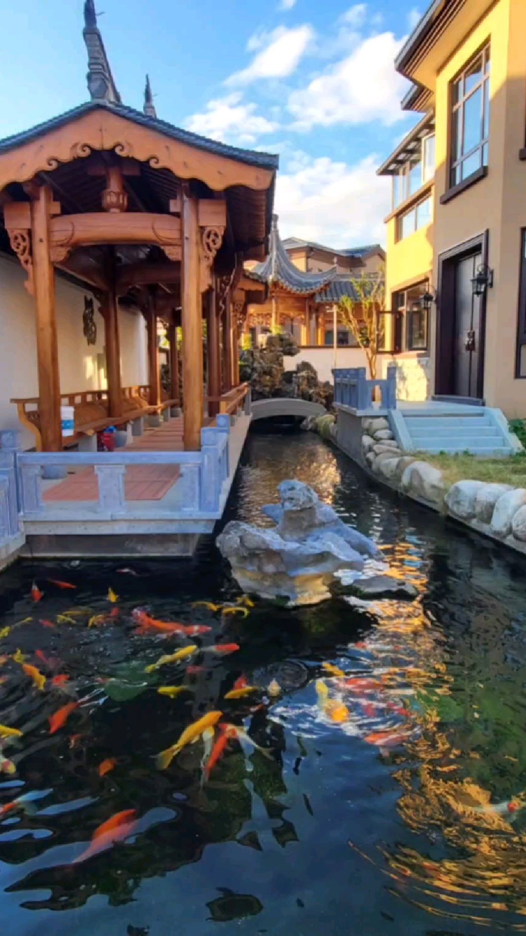 锦鲤鱼池过滤系统施工全过程,视频有点长,耐心观看