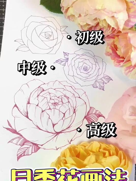 520特辑超详细的三种简单月季花画法教程！
