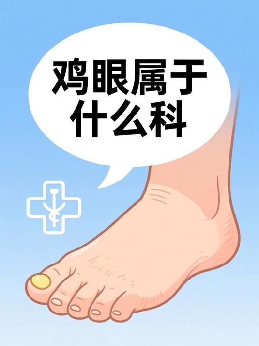 鸡眼属于什么科