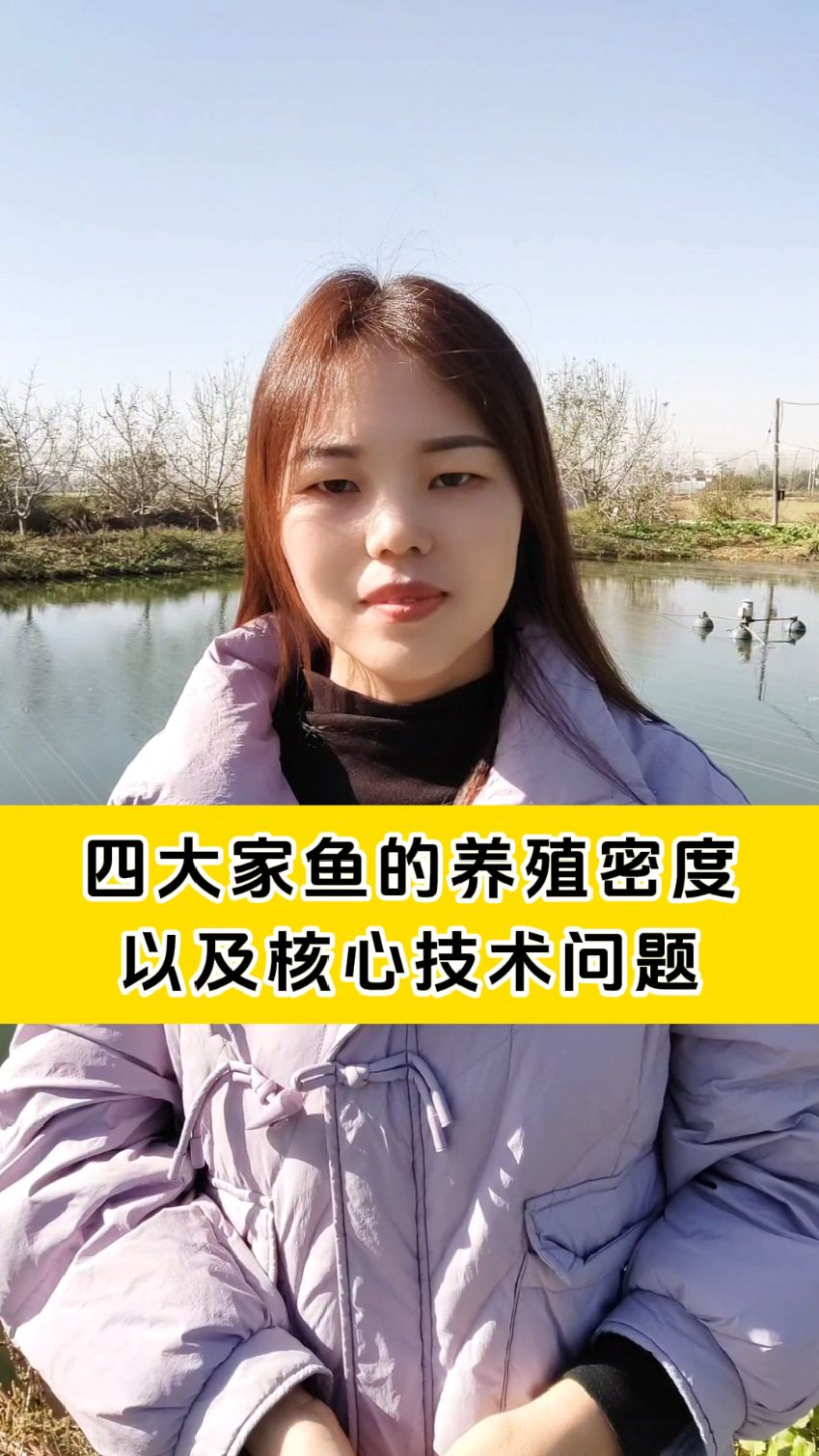 四大家鱼养殖密度以及核心技术问题