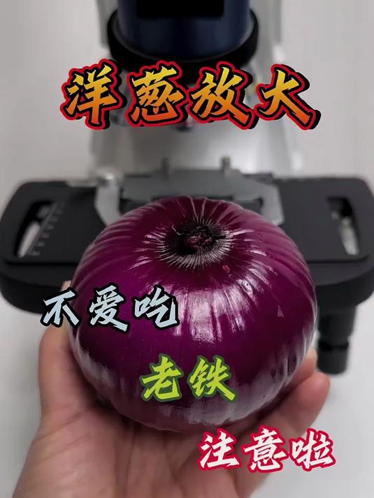 洋葱 科普 显微镜