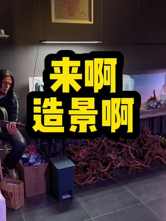 来啊造景啊