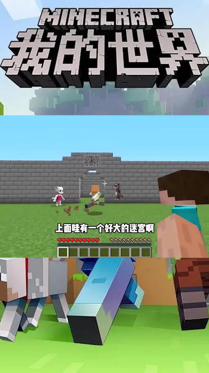 9的世界:汤姆猫和他女朋友制作的迷宫,你能挑