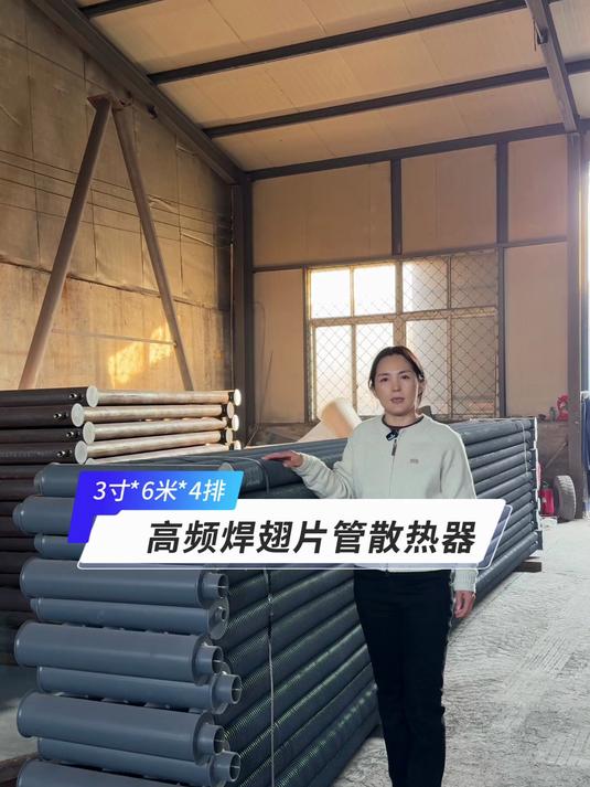 6米长的高频焊翅片管散热器,您需要吗?