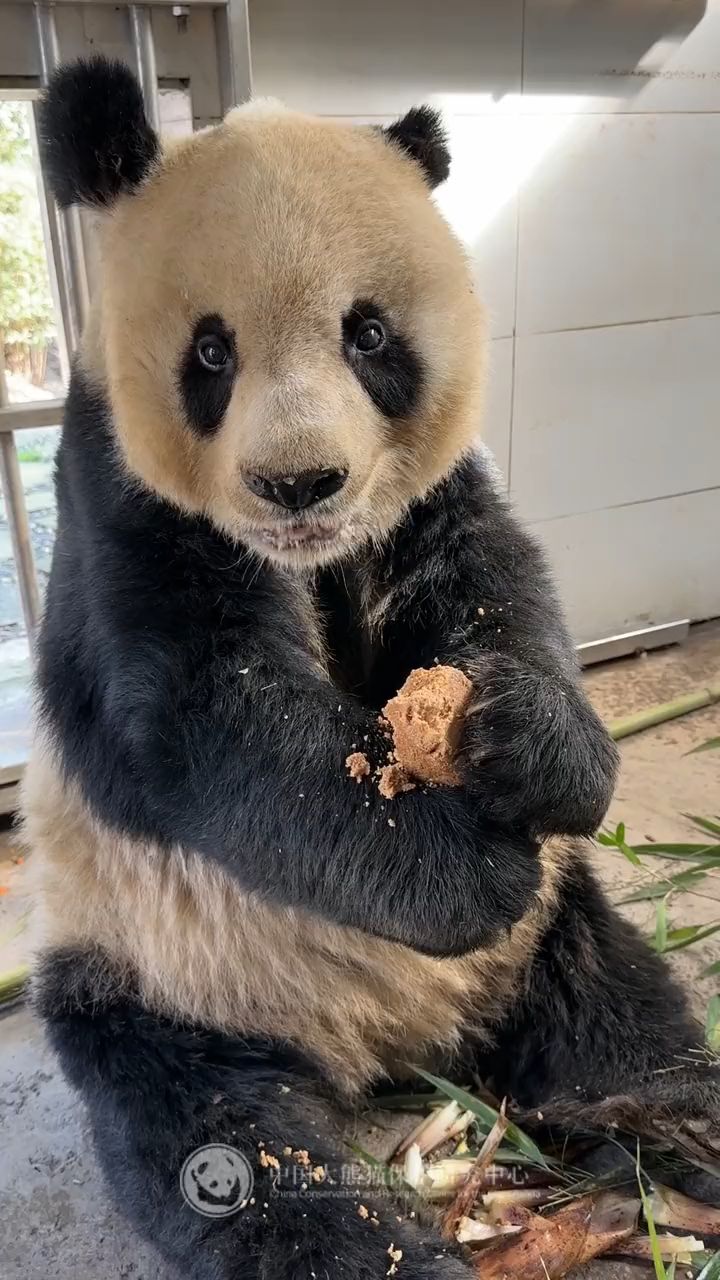 你想吃我的窝窝头吗?