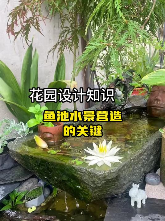 鱼池水景营造的关键