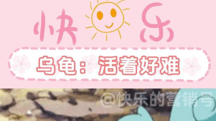 乌龟:我们都在用力地活着