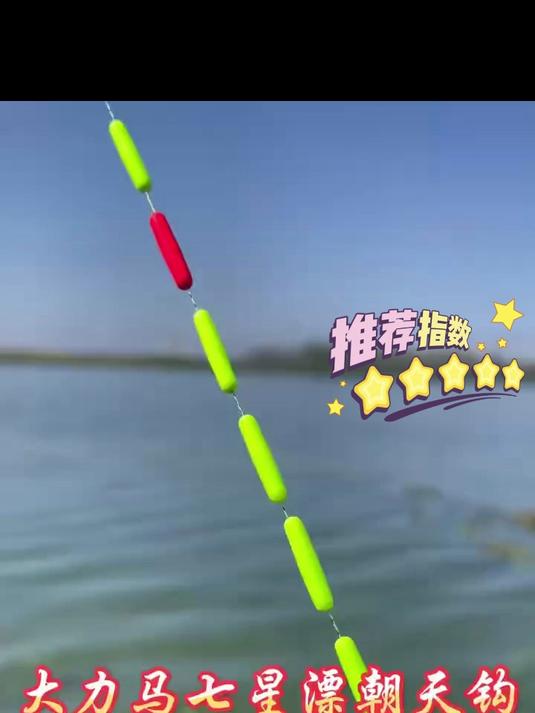 七星漂成品线组！带朝天钩高灵敏，传统钓野钓鲫鱼必备全套！