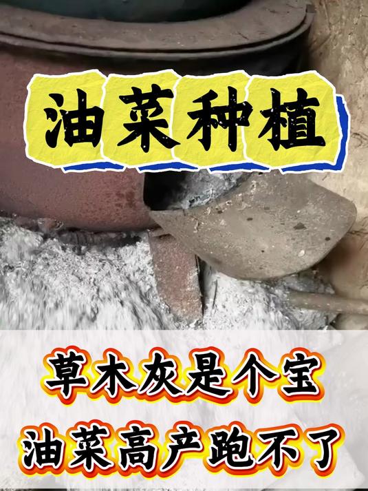油菜种植施肥技术