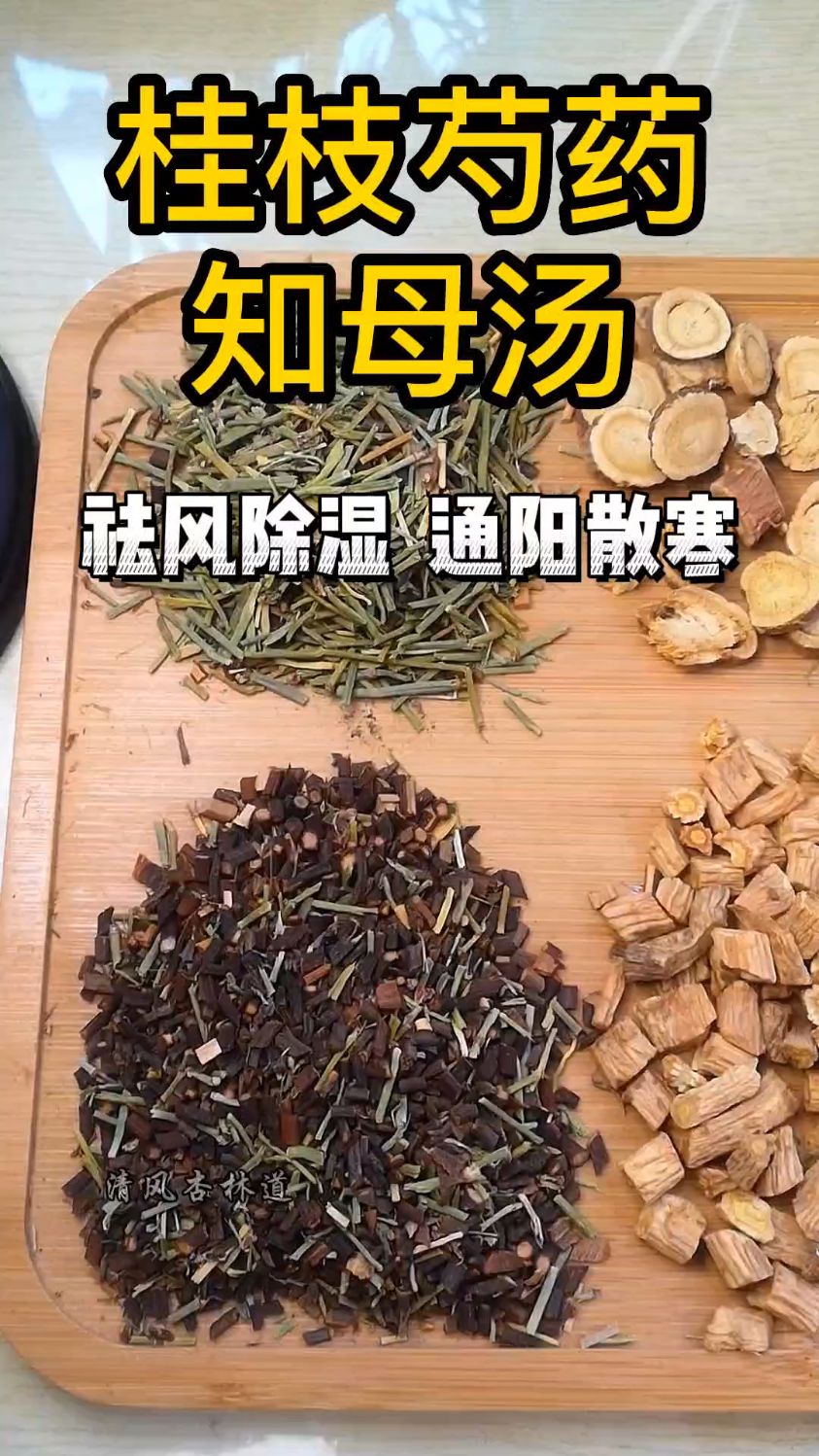 仲景名方之桂枝芍药知母汤