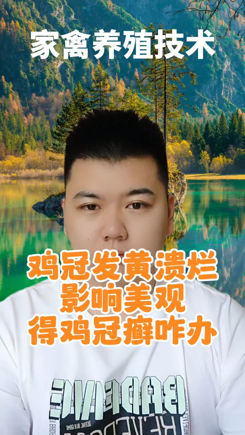 鸡冠癣怎么治疗最快 鸡冠癣用什么药 鸡冠长癣是什么原因 鸡冠癣如何治疗 鸡冠上起癣是