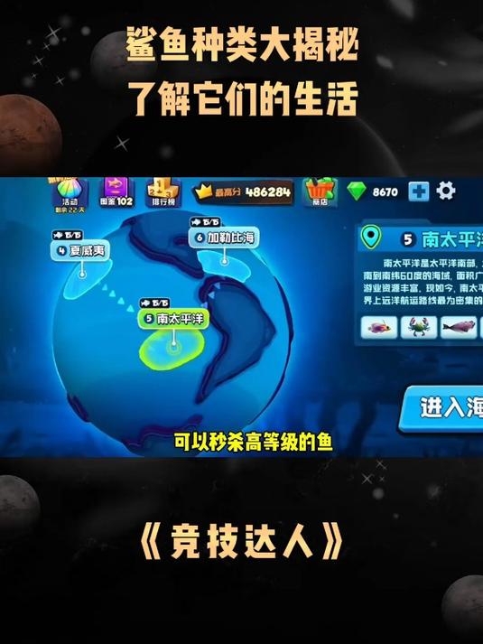 《竞技达人》鲨鱼种类大揭秘,了解它们的生活
