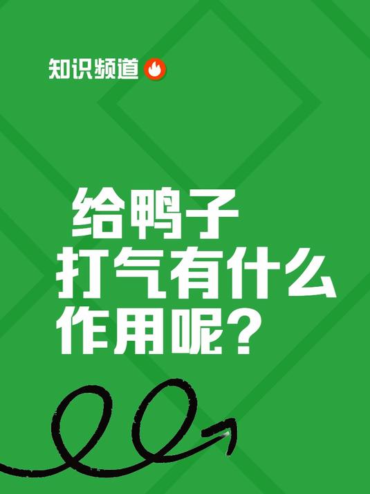 给鸭子打气有什么作用呢?