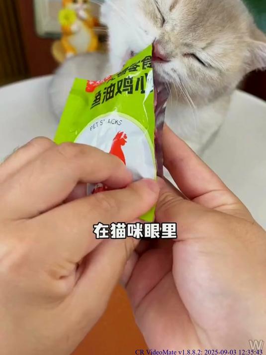 蒸煮鸡心对心脏和眼睛很有好处,强健骨骼增强食欲,猫狗都能吃
