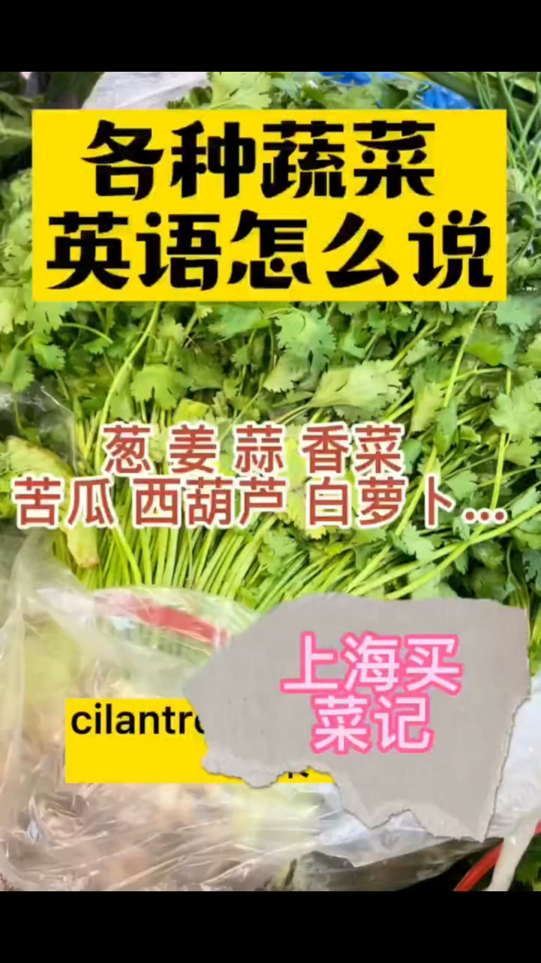 各种蔬菜的英语/看看你会几个?