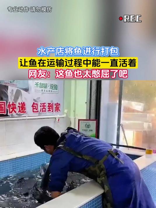 水产店将鱼进行打包,让鱼在运输过程中能一直活着,网友:这鱼也太憋屈了吧