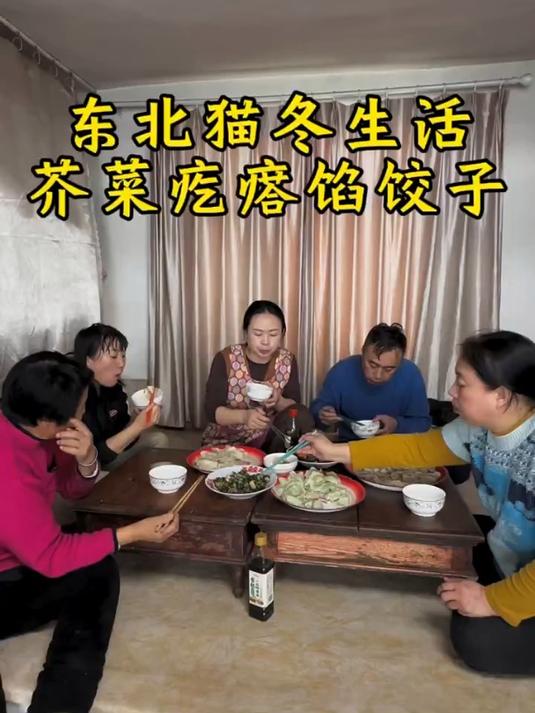 东北猫冬生活5个月没啥事就琢磨吃 今天包了芥菜疙瘩馅饺子