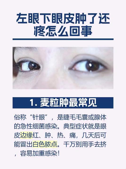 左眼下眼皮肿了还疼怎么回事