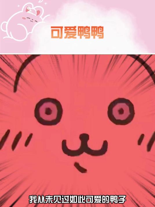 这么活跃的鸭鸭应该红烧好吃 灰斑柯尔鸭 可爱 搞笑