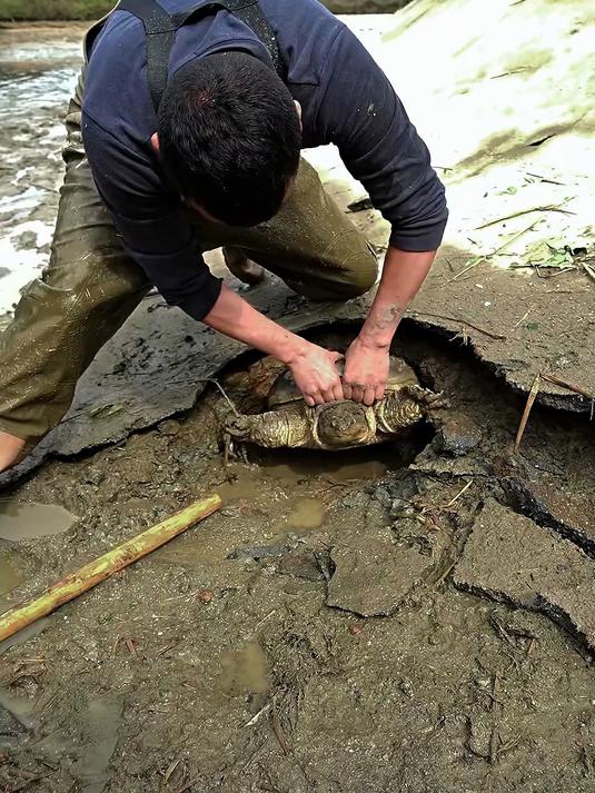 花4万多包下的鱼塘，干底以后找货，没想到发现这个大家伙
