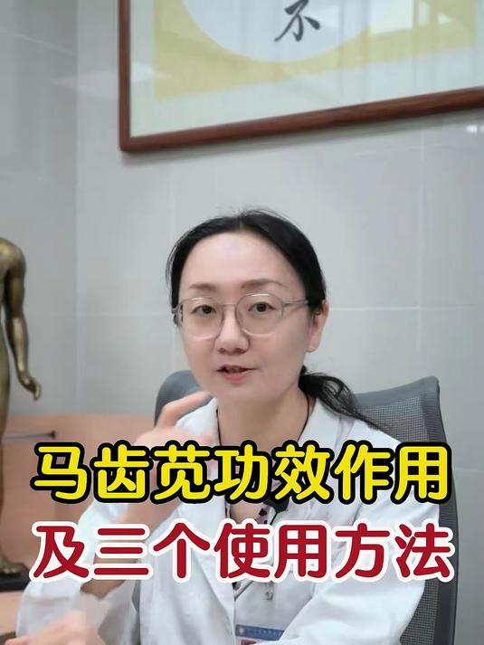 马齿苋 的功效作用以及三个使用方法 中医药文化 中医知识分享