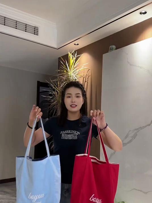 双面背条纹帆布袋 韩国ins慵懒风托特包学生大容量休闲单肩包包
