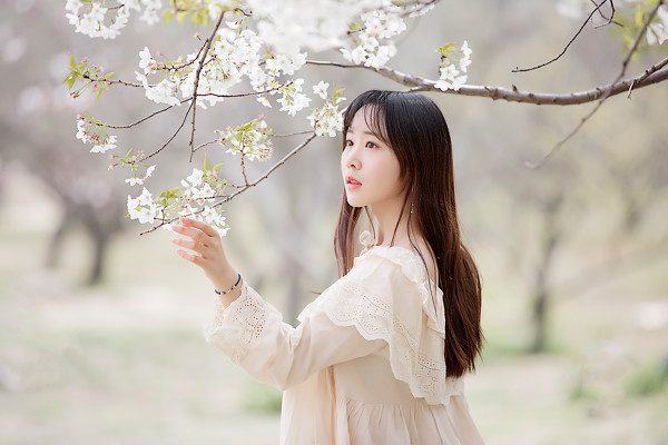 图片[21]-三生三世，百里樱花-六色网