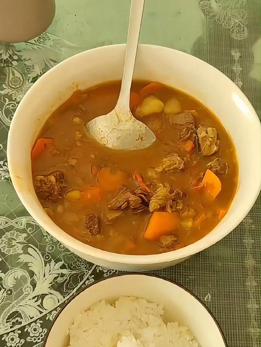 西红柿土豆炖牛肉盖饭