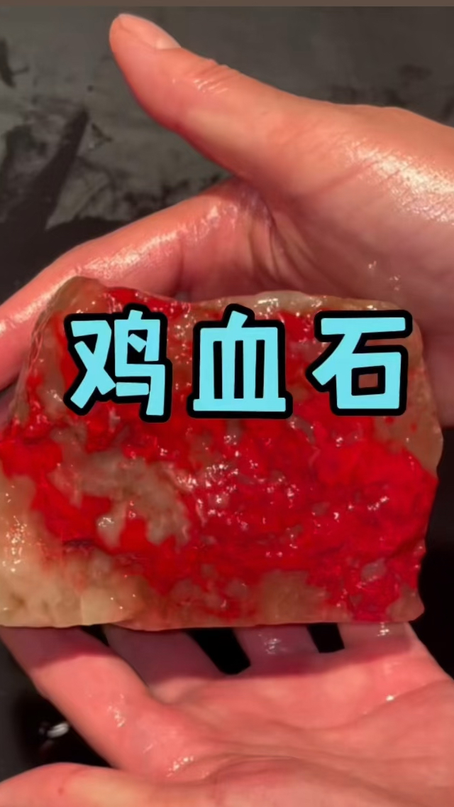 这样一块满血的鸡血石原石,您喜欢吗?
