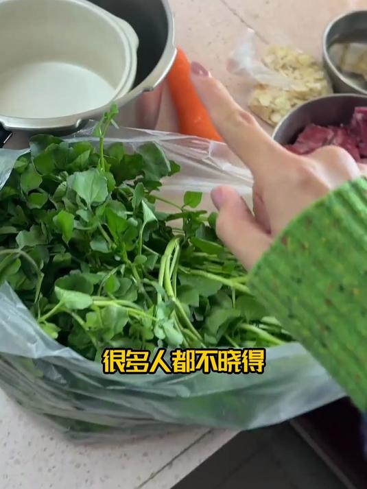 健脾西洋菜蜜炖陈肾，促进代谢更轻盈