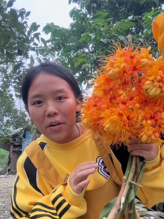 云南的一道野菜巴焦花。吃起来不是老了只是有点拉丝而已