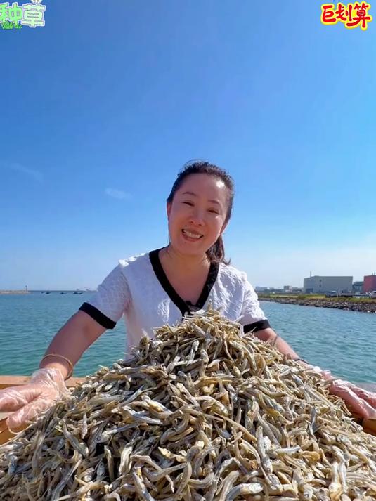 野生海燕鱼干,肉质紧实。营养丰富,炒菜凉拌都好吃